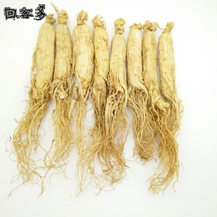 白参人参生晒参吉林长白山参人参整只125克人参泡酒煲汤东北特产