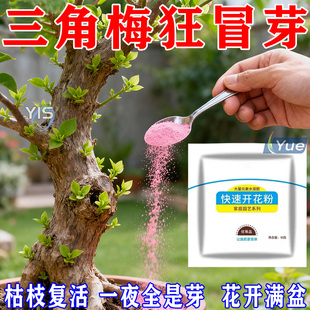 快速开花粉三角梅茶花茉莉盆栽通用型促花生根壮苗园艺家用爆花肥