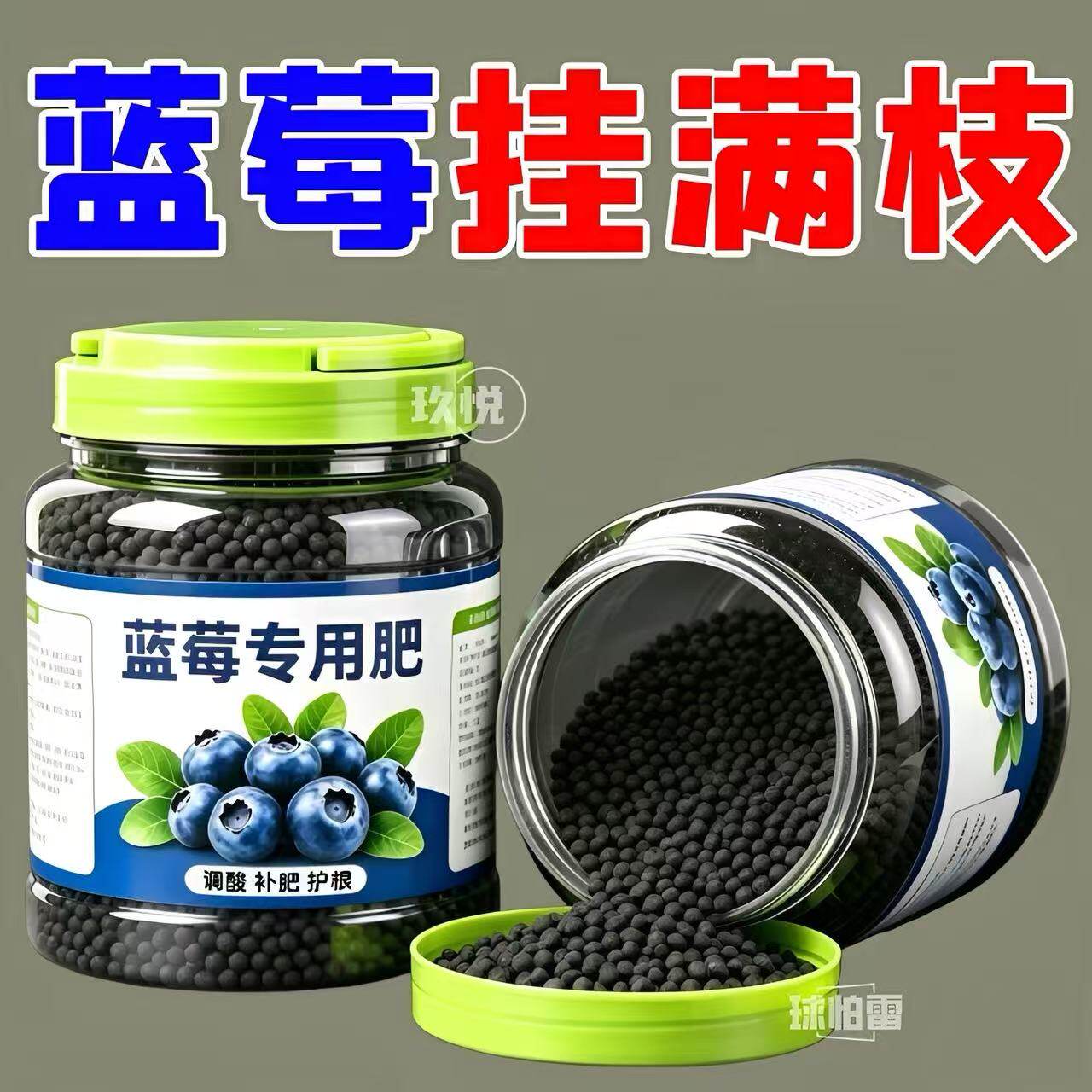 蓝莓专用肥料家用果树盆栽蓝莓增产促果挂果酸性家庭园艺颗粒肥料