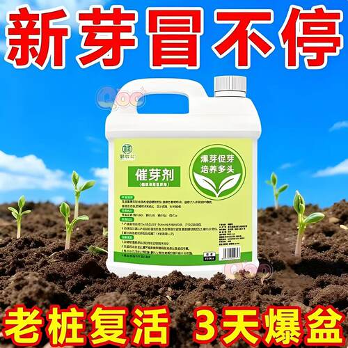 老桩催芽剂花卉营养液促芽防黄叶