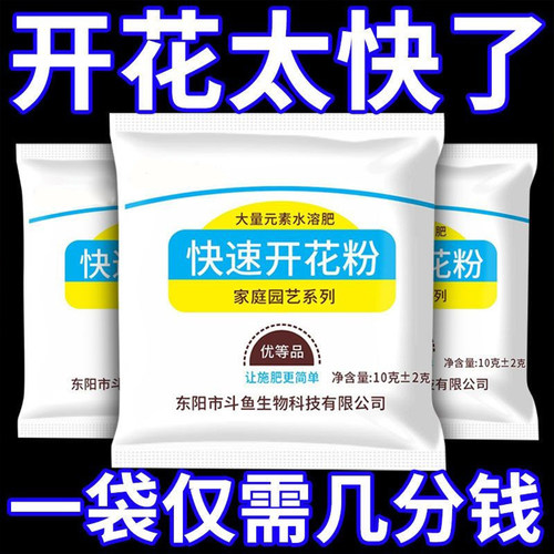 快速开花粉三角梅茶花茉莉盆栽