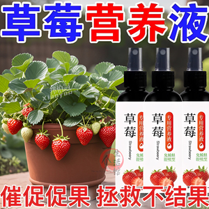 草莓专用营养液草莓肥料专用肥免稀释营养液家用盆栽有机液体肥料