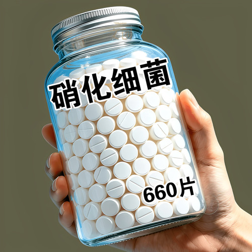 去腥去臭【打造空气缸】硝化细菌