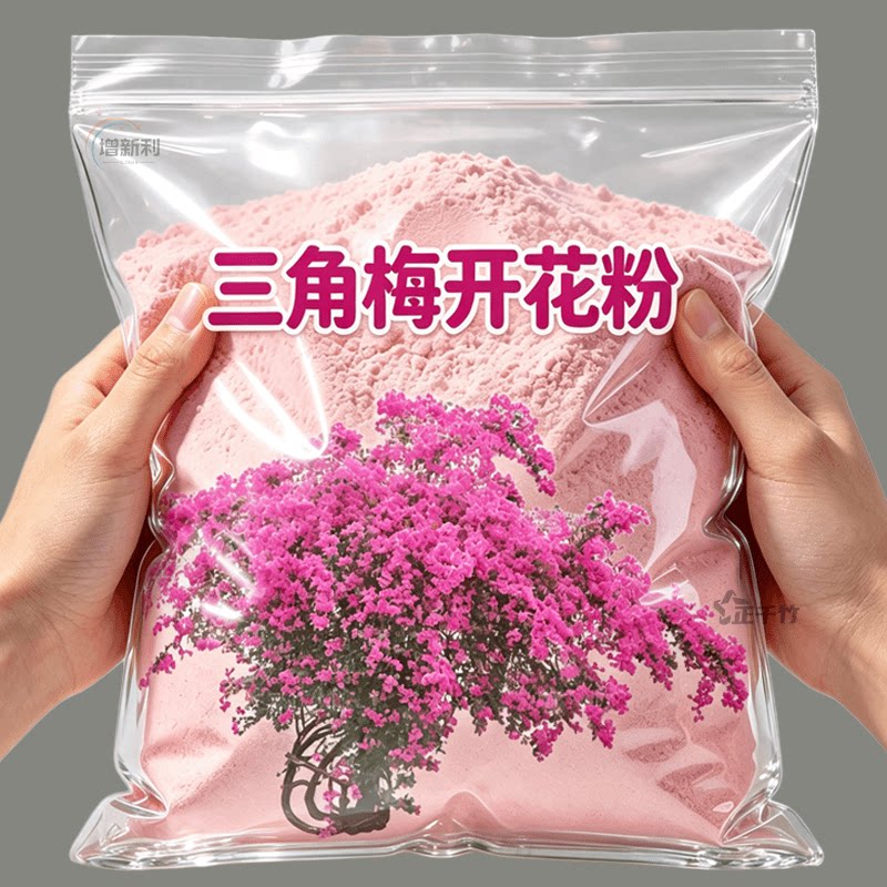 【三角梅长疯了】壮根叶绿催花