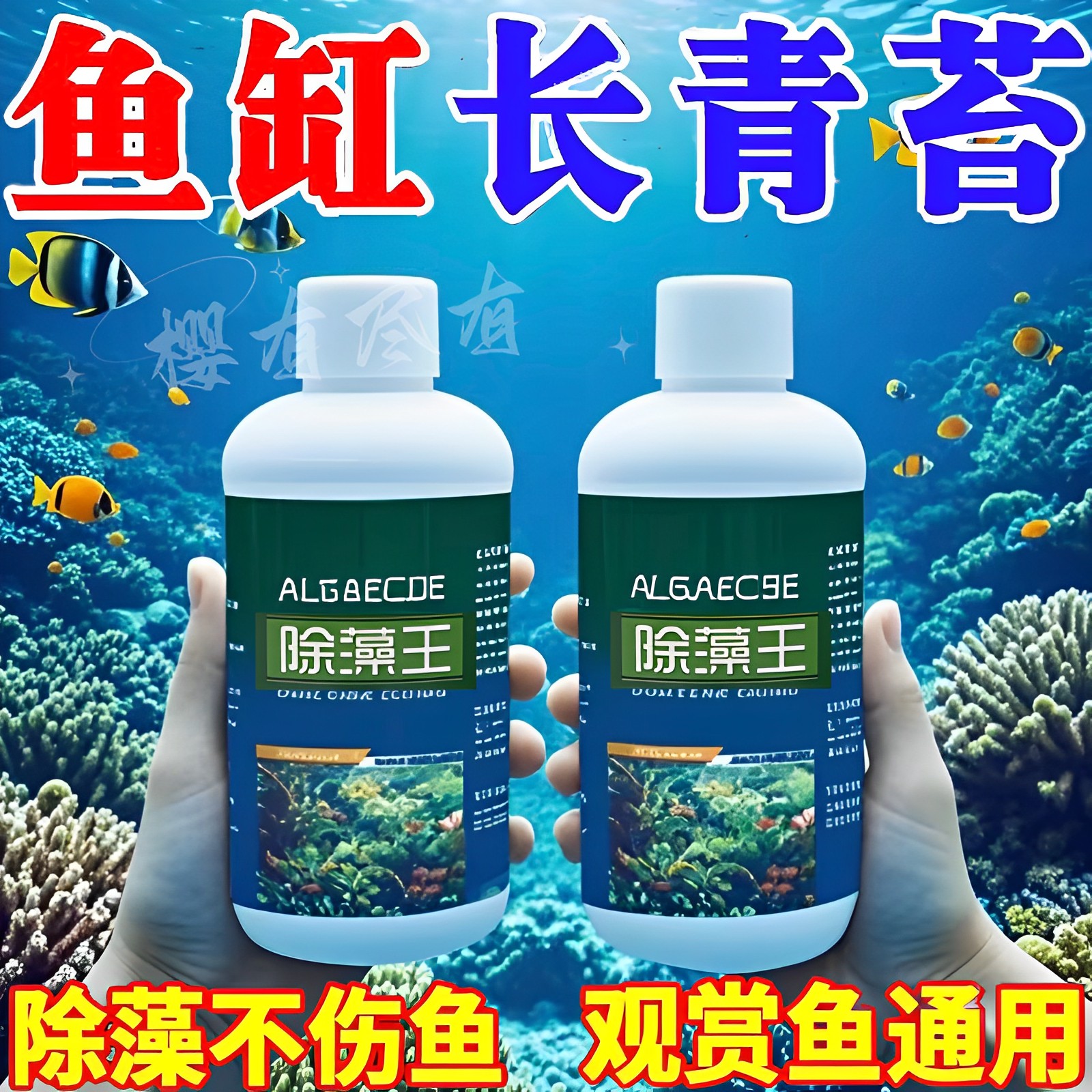 【除藻王】鱼缸除藻剂绿藻去苔剂青苔鱼缸清理神器绿水褐藻丝黑藻
