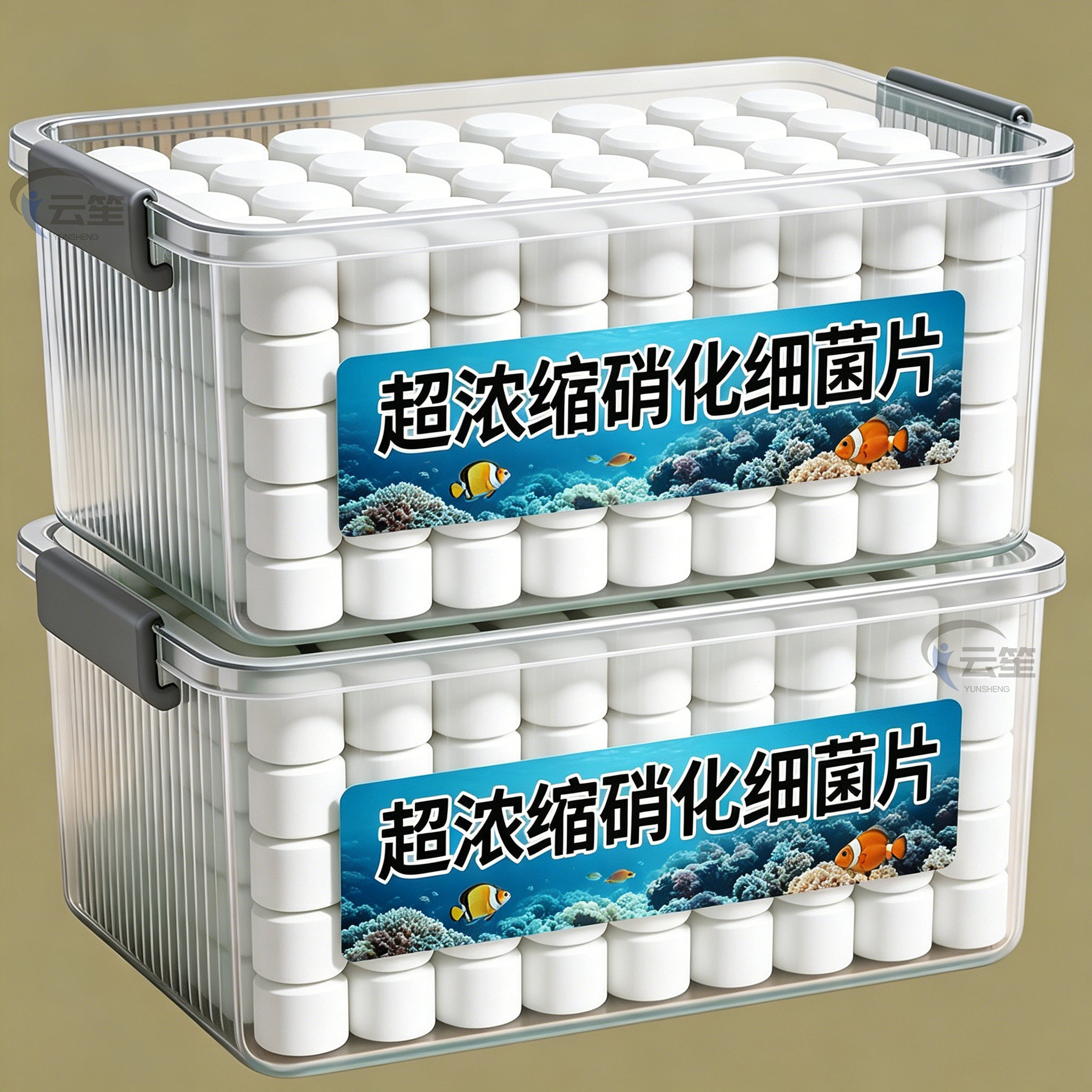 水族硝化细菌片分解杂质除腥除臭