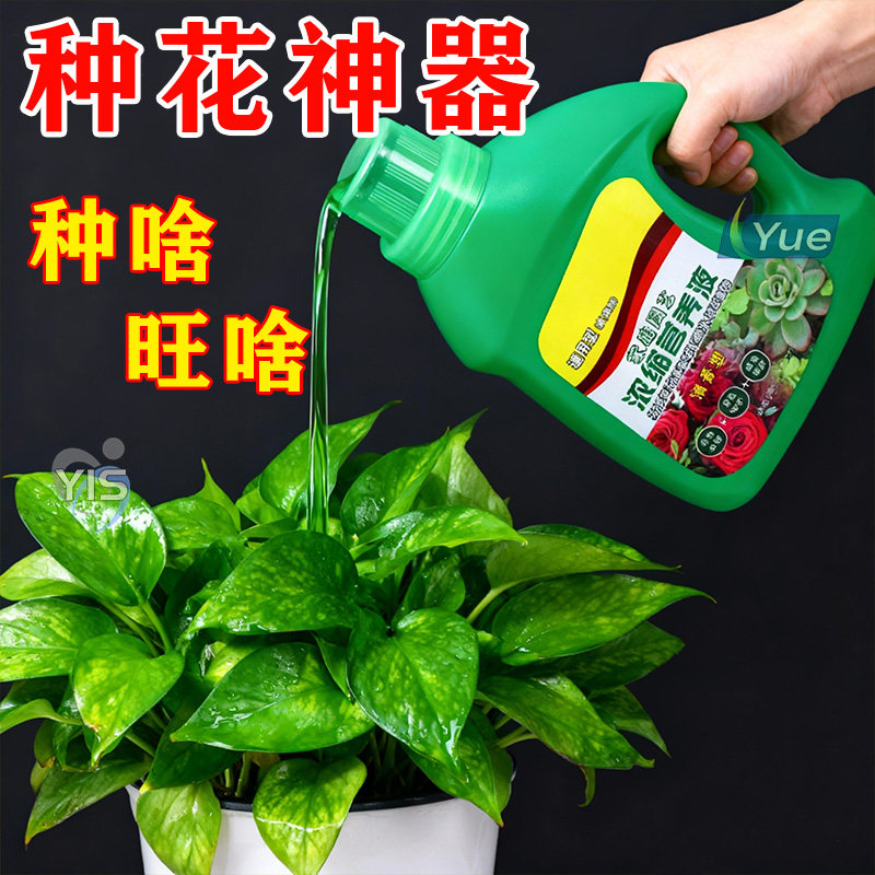 营养液植物通用浓缩型爆芽增色生根剂叶面肥盆栽养花肥料土培水培