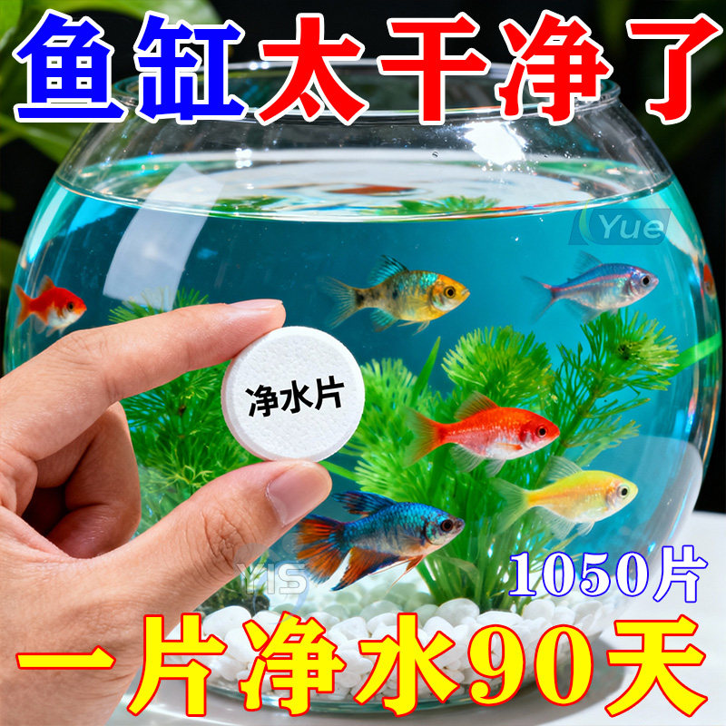 鱼缸高分子聚合物高级净水片净化水质打造空气缸分解鱼粪常备用品