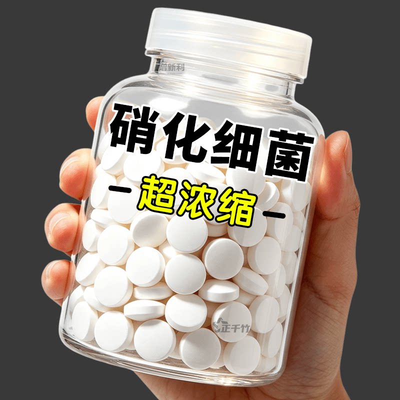 观赏鱼专用硝化细菌净水片