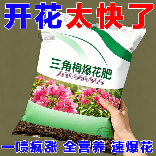 三角梅月季通用快速开花粉催花