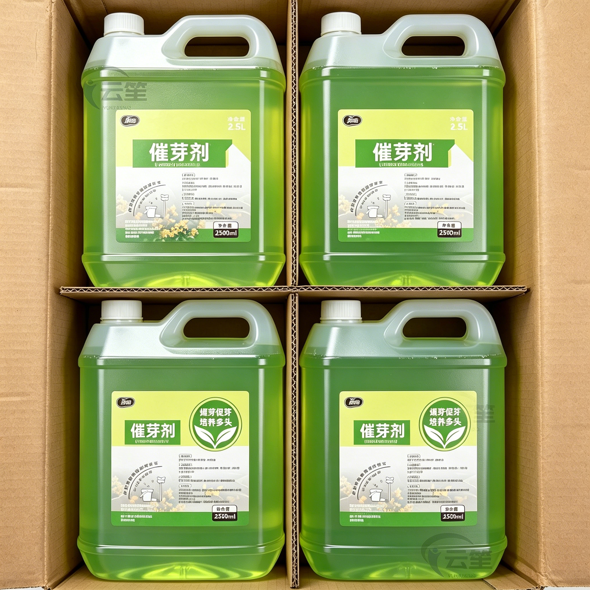 老桩催芽剂花卉营养液促芽僵苗快速发新芽防黄叶生根催芽绿植通用