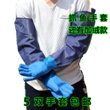 姄楸 姄楸 锷犵 锷犵 锷犵 锷犵 锷犻 锷犻 澶 澶 ╂ 濂 濂 濂 阒 阒 阒 阒 栭 栭 鏉 € 楸 椴 椴 鑳 鑳 Руль падает