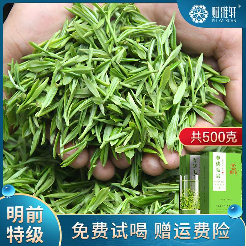 高山云雾绿茶2023新茶叶特级明前毛尖四川雅安蒙顶山茶毛峰自己喝怎么看?