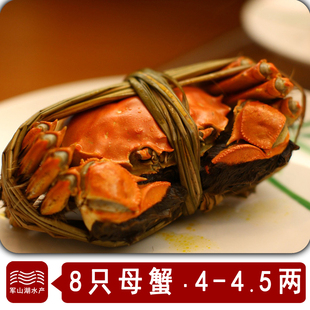 南昌军山湖大闸蟹8只全母4-4.5两大闸蟹螃蟹礼盒装鲜活螃蟹顺丰