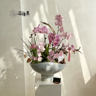高脚艺术蝴蝶兰专用花盆陶瓷家用客厅桌面兰花组合造景大口径透气