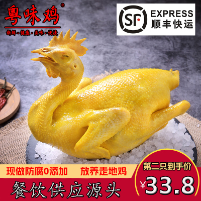 【顺丰】源头直发盐焗鸡整只熟食
