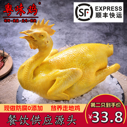 【顺丰】广东盐焗鸡整只2斤特产熟食即食手撕窑鸡客家烧鸡白切鸡