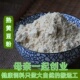 地锅炒黄豆粉 熟黄豆粉 黄豆粉蘸料烧烤50g 包邮 任意6件