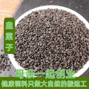 韭菜籽韭菜子纯韭菜籽生韭菜籽泡酒50g 任意6件包邮