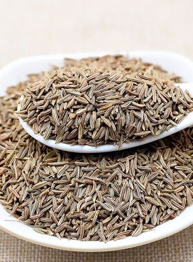 葛缕子500克/250g/50g 藏茴香籽Caraway革楼孑西餐增香香料调料包