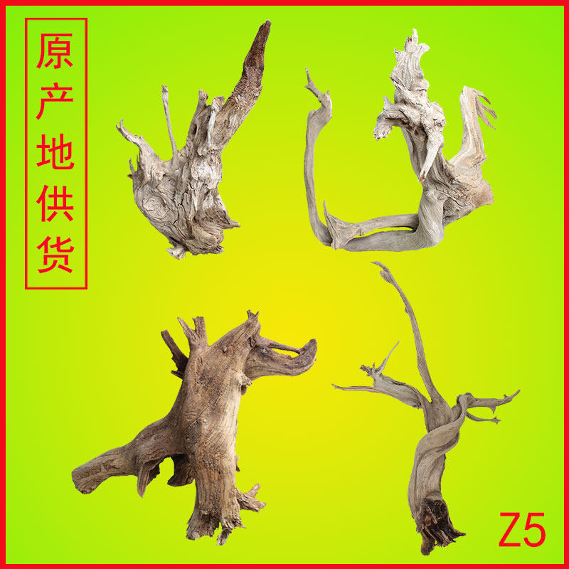 TAIHANG 산 THUJA 나무 양모 TAIHANG 통나무 THUJA 나무 원시 나무 세 양모 오래된 재료 장식품 부티크