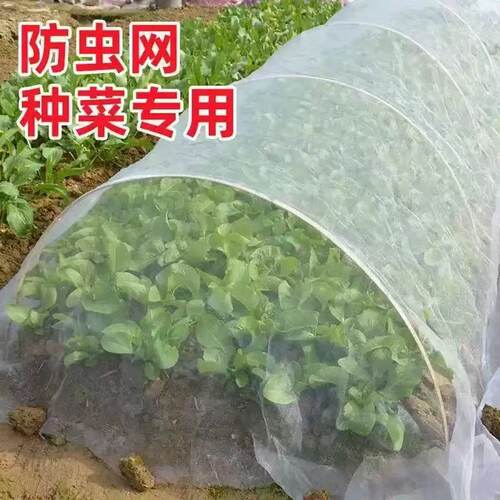 大棚防虫网种菜目防虫罩加密纱网菜地果园网蔬菜防鸟菜园菜地80目