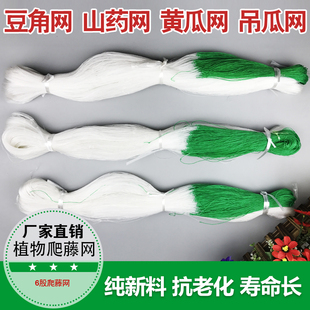 百香果架黄瓜种植网香瓜罗汉果番茄网丝苦爬藤网种植网农用攀爬网