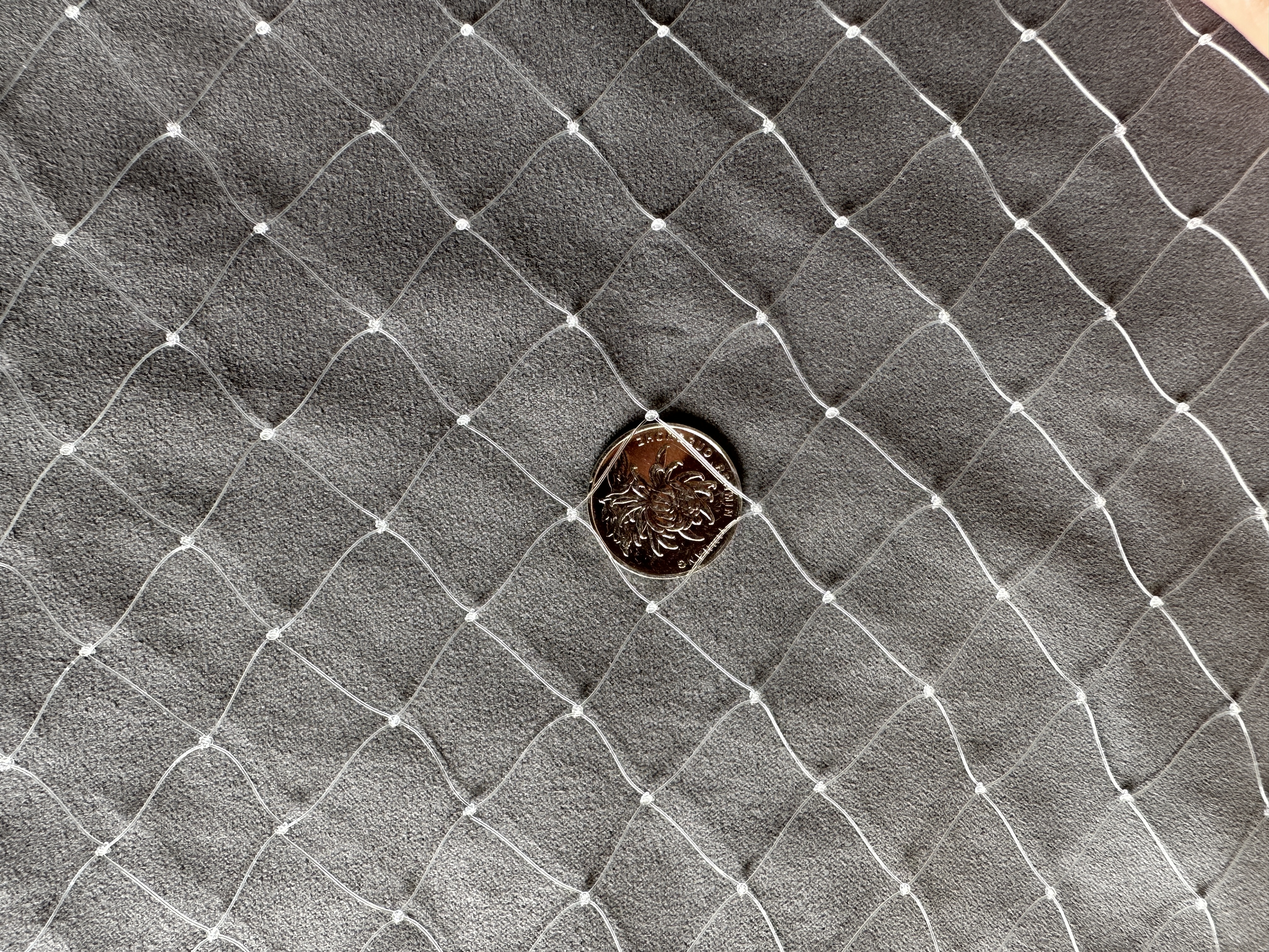 加粗防鸟网果树防鸟网农用防鸟果园用网天网果树防鸟罩阳台0.38线