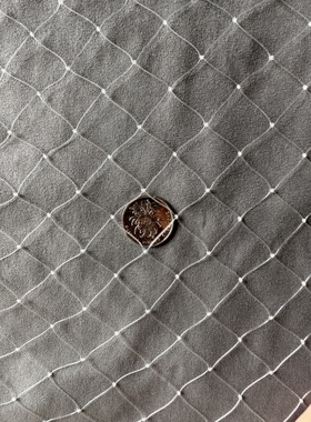 加粗防鸟网果树防鸟网农用防鸟果园用网天网果树防鸟罩阳台0.38线