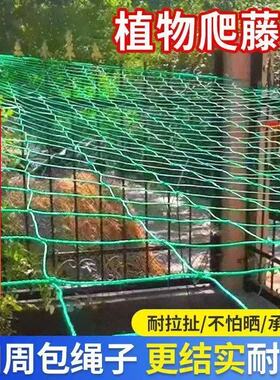 百香果葡萄网园艺爬藤网月季花卉尼龙网搭架网攀爬网庭院种菜种花