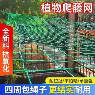 百香果葡萄网园艺爬藤网月季花卉尼龙网搭架网攀爬网庭院种菜种花
