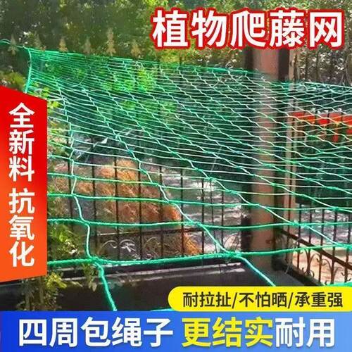 百香果葡萄网园艺爬藤网月季花卉尼龙网搭架网攀爬网庭院种菜种花