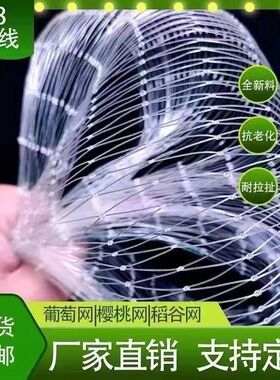 防鸟网尼龙樱桃葡萄梨树蓝莓果树果园防鸟用网青蛙养殖场鱼塘天网