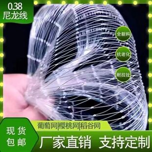 防鸟网尼龙樱桃葡萄梨树蓝莓果树果园防鸟用网青蛙养殖场鱼塘天网