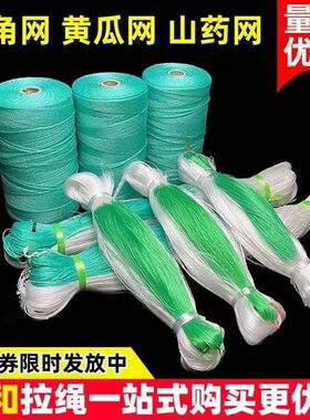植物爬藤网 山药网 豆角网 黄瓜网 攀爬蔬菜瓜果种植百香果吊瓜网