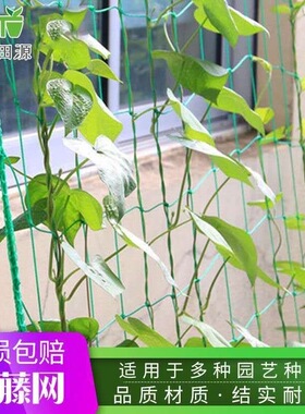 百香果葡萄网园艺爬藤网月季花卉尼龙网搭架网攀爬网庭院种菜种花