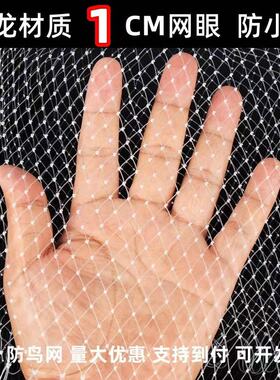加粗防鸟网果树防鸟网农用防鸟果园用网天网果树防鸟罩阳台0.38线