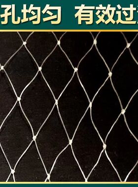 尼龙防鸟网白色农业果园果树天网葡萄鱼塘樱桃树枸杞农田防鸟用网