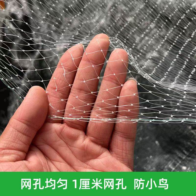 小网眼防鸟网1厘米小网孔