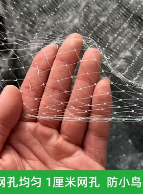 葡萄果园防鸟网防雹网果树樱桃蓝莓防鸟用网尼龙1厘米网孔小网眼