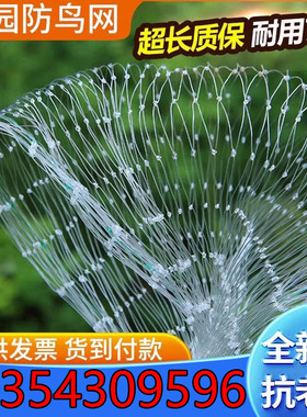 樱桃网天网果园防鸟网葡萄大棚保护网果树网防鸟用网阳台尼龙网