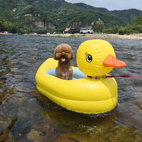 小黄鸭儿童宠物小船猫狗浴盆