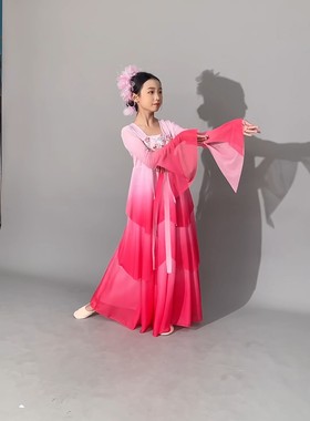 古典舞演出服女飘逸中国风剧目连衣裙扇子舞套装漫落花间舞蹈服装