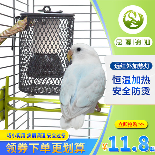 鹦鹉加热灯蜜袋鼯爬虫无光保温灯
