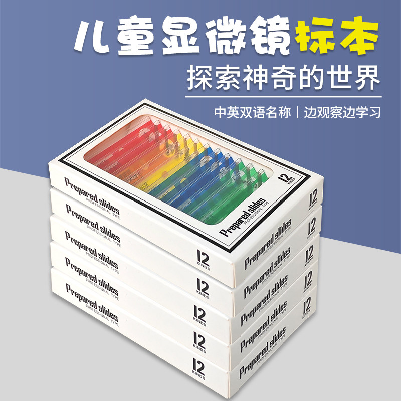 英文定制款 儿童显微镜标本切片 中小学生生物科学实验科