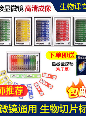 中小学生物课切片标本显微镜通用