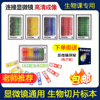 中小学生物课切片标本显微镜通用