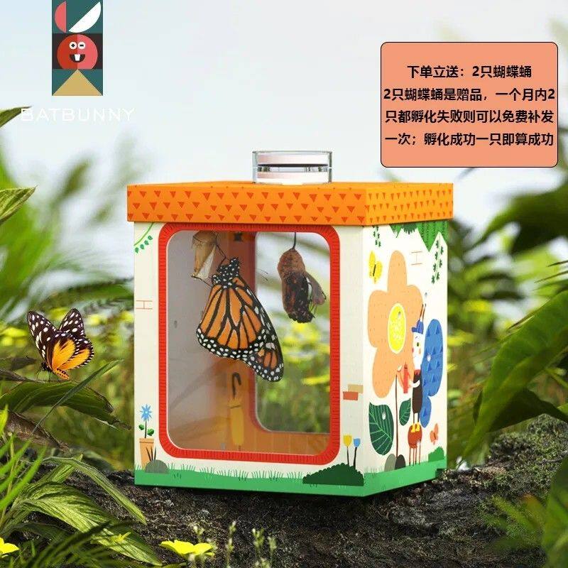 蝙蝠兔孵化蝴蝶观察盒教学科普实验破蛹成蝶小昆虫实验套装学生,玩具/童车/益智/积木/模型,科学实验,淘宝优惠券,粉丝福利购,淘宝优惠卷