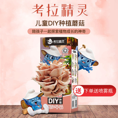 【2盒装】考拉精灵diy