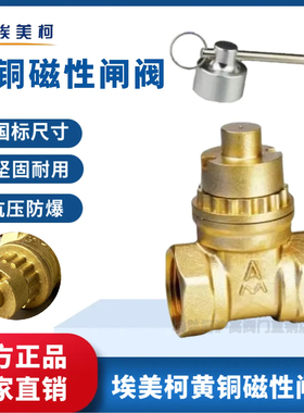 埃美柯黄铜磁性带锁闸阀198开关阀防盗阀Z15W-16T锁闭丝扣水阀6分